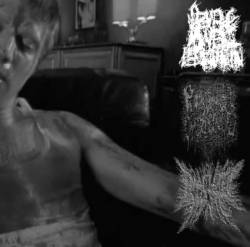 Severe Bowel Perforation : Severe Bowel Perforation - Purulent Cystocentesis - Emaciated Waste